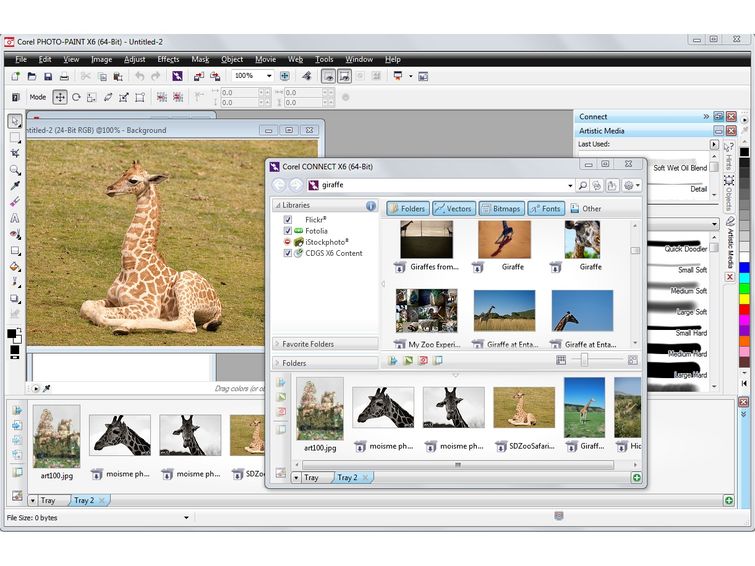 CorelDRAW Graphics Suite Ekran Görüntüsü